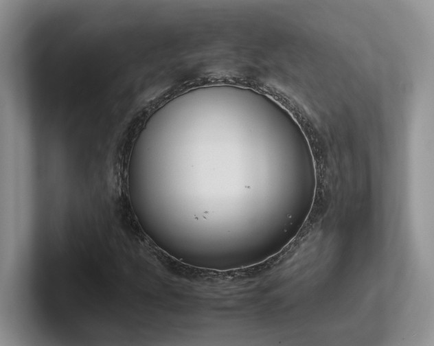 X0000102511207200808081403