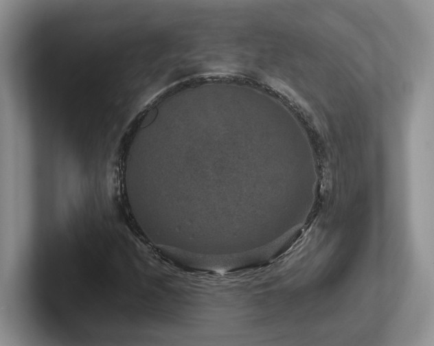X0000102511208200808081403