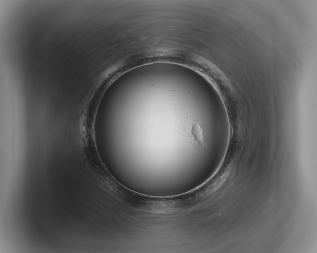 X0000102511210200808081403