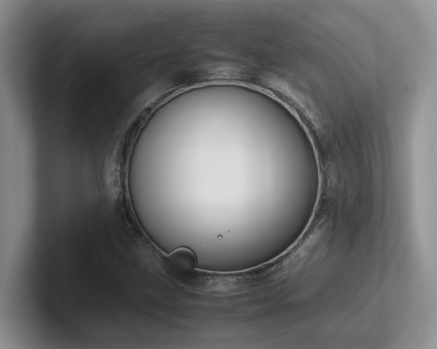 X0000102511211200808081403