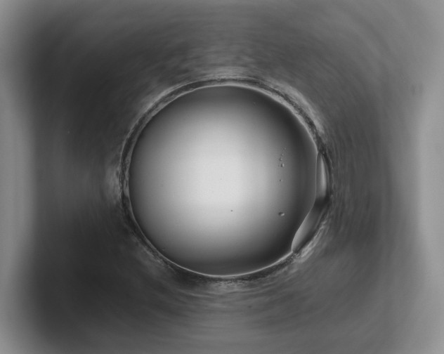 X0000102511212200808081403