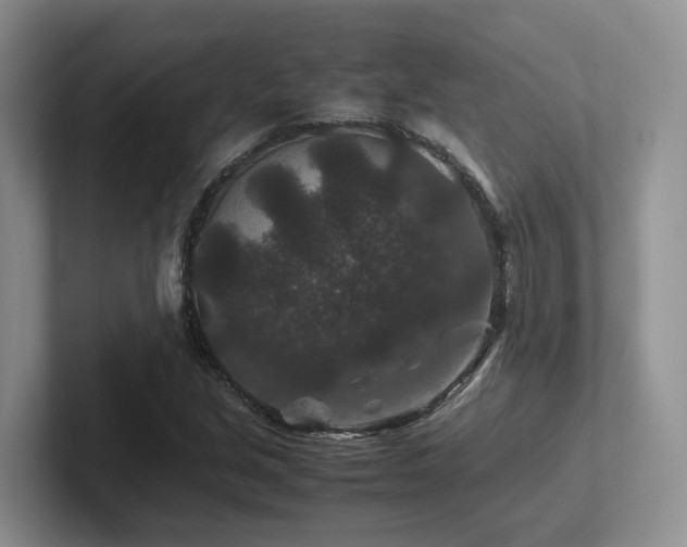 X0000102511213200808081403
