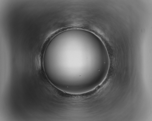 X0000102511214200808081403