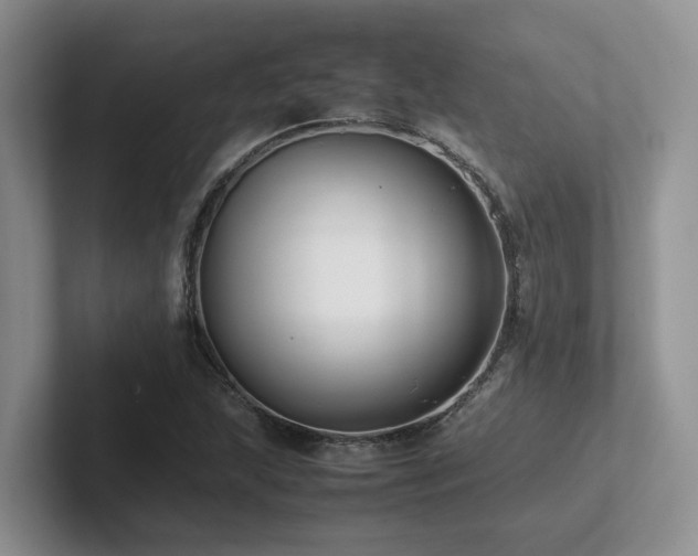X0000102511215200808081403