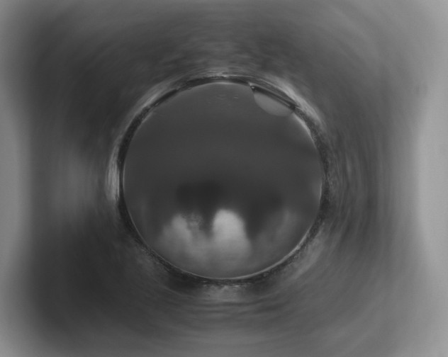 X0000102511221200808081403