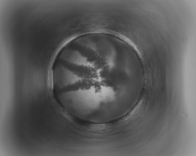 X0000102511223200808081403