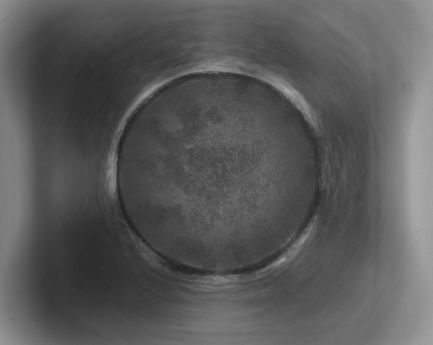 X0000102511224200808081403
