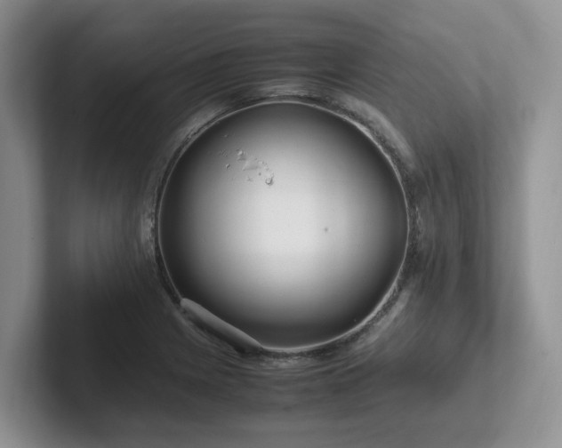 X0000102511225200808081403