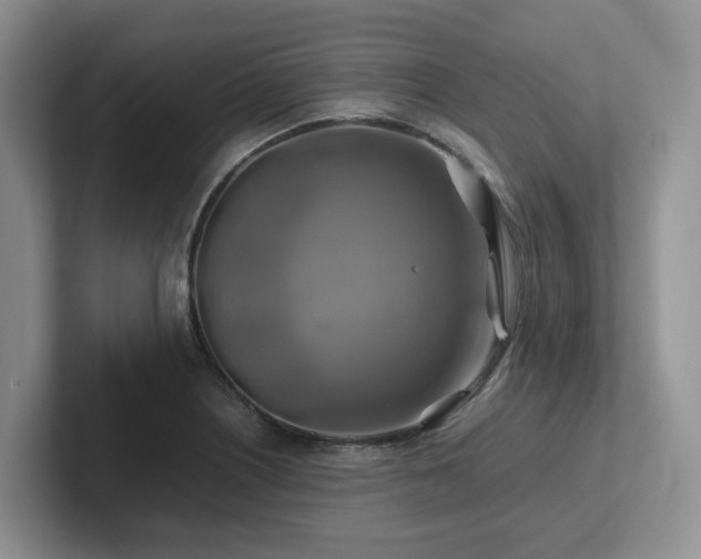 X0000102511226200808081403