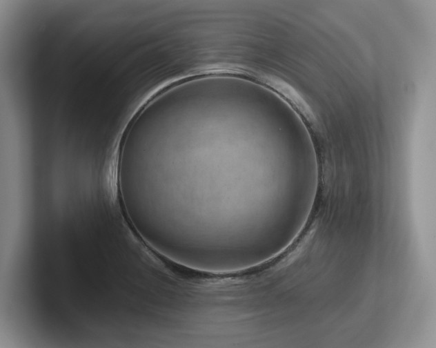 X0000102511228200808081403