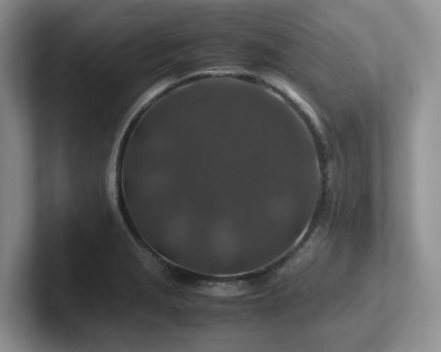 X0000102511229200808081403