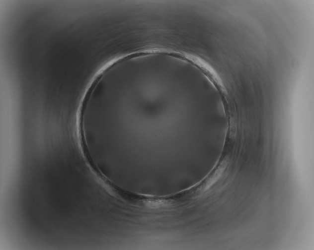X0000102511231200808081403