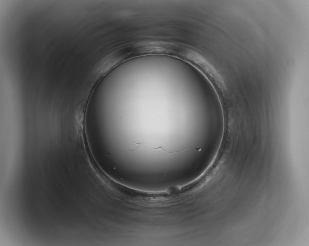 X0000102511233200808081403
