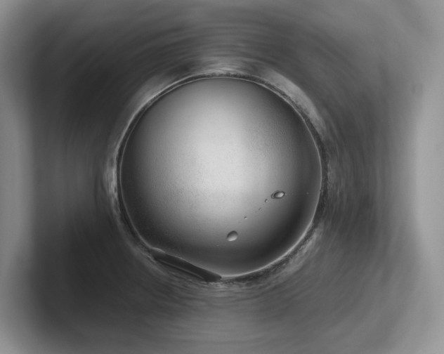 X0000102511234200808081403