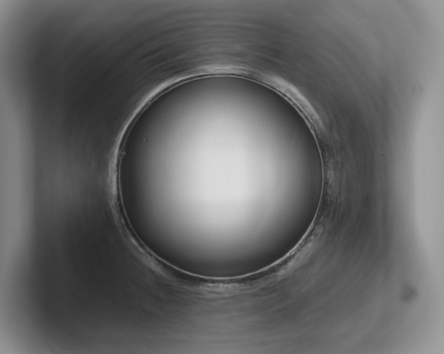 X0000102511236200808081403