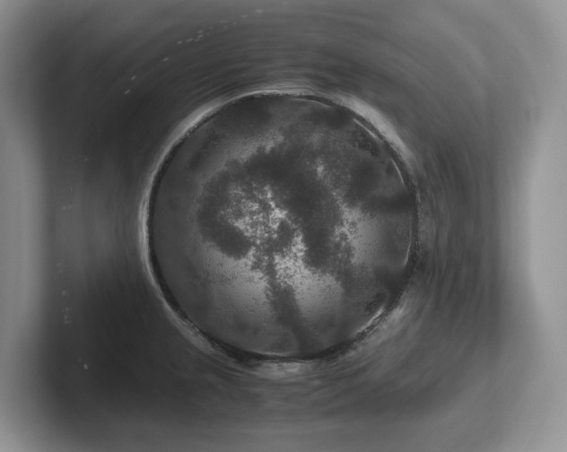 X0000102511237200808081403