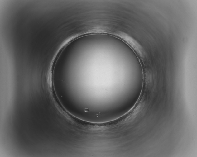 X0000102511238200808081403