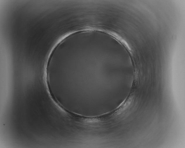 X0000102511239200808081403