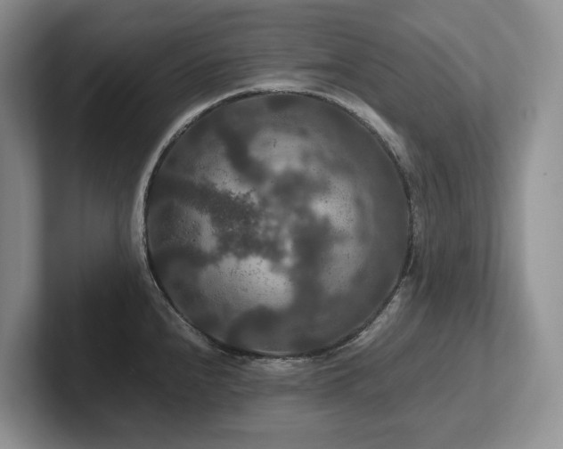 X0000102511240200808081403