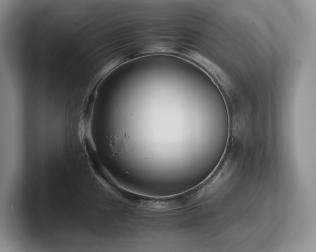 X0000102511241200808081403