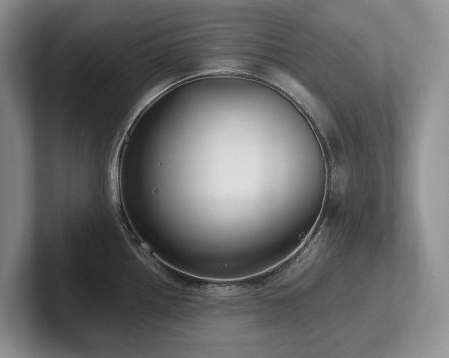X0000102511242200808081403