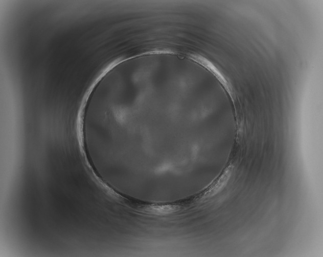 X0000102511243200808081403