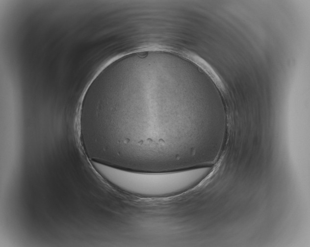 X0000102511244200808081403