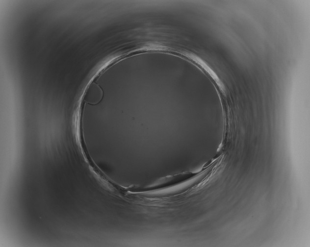 X0000102511245200808081403