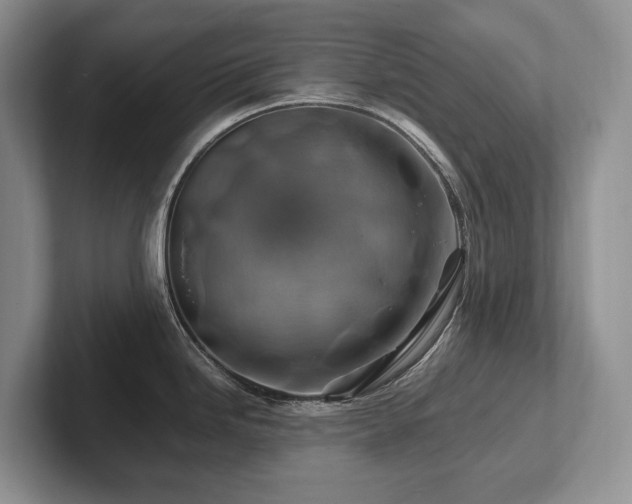 X0000102511246200808081403