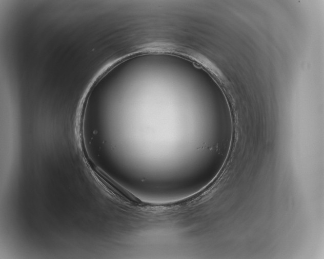 X0000102511248200808081403