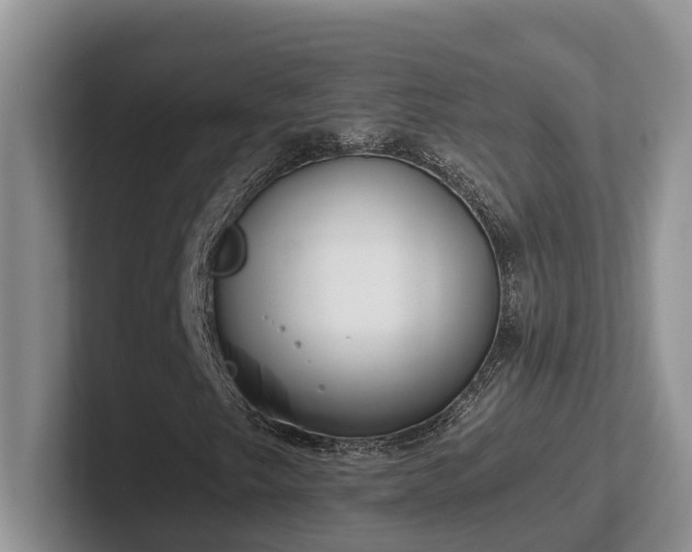 X0000102511249200808081403