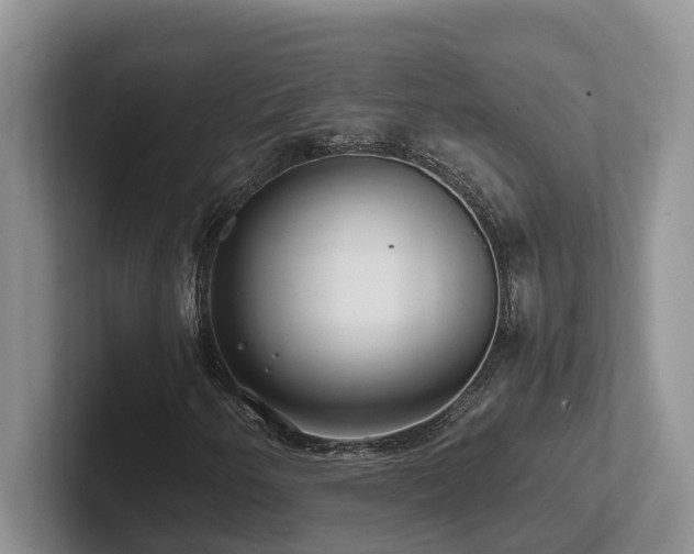 X0000102511250200808081403