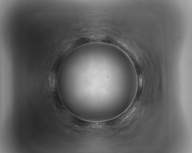 X0000102511251200808081403
