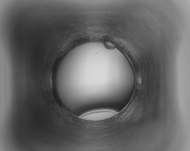 X0000102511252200808081403