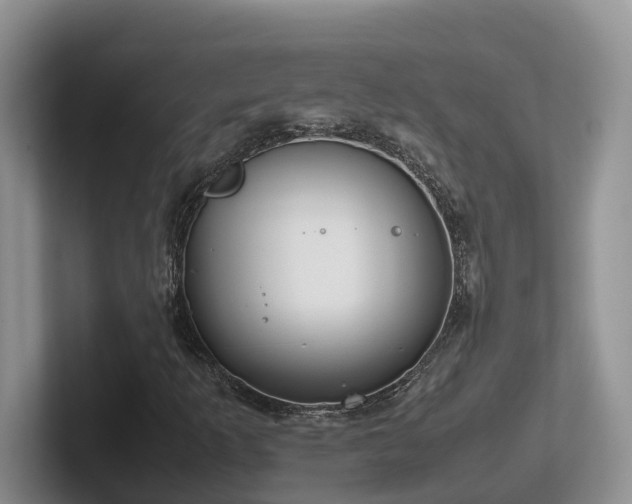 X0000102511253200808081403
