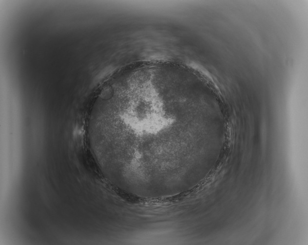 X0000102511254200808081403