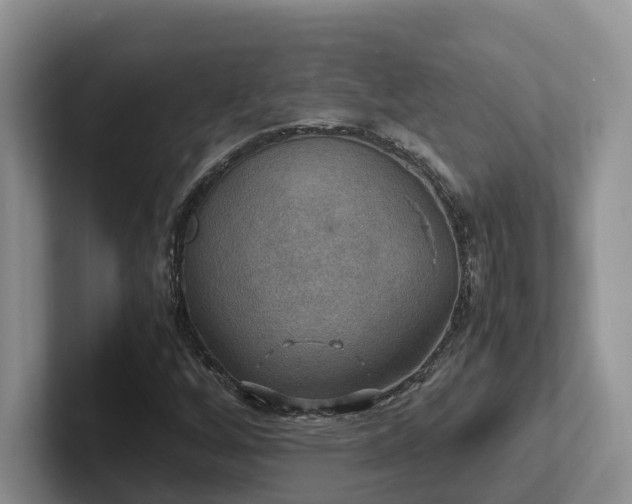 X0000102511256200808081402