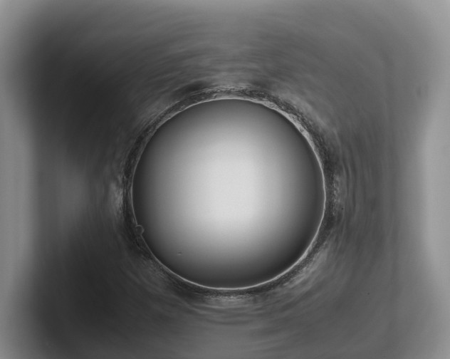 X0000102511257200808081402