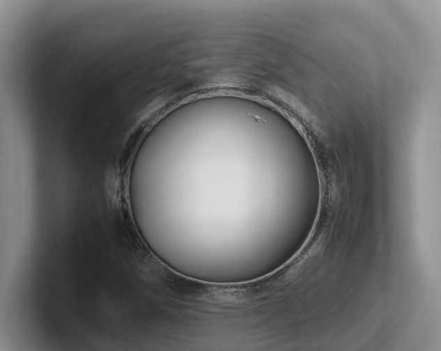 X0000102511258200808081402