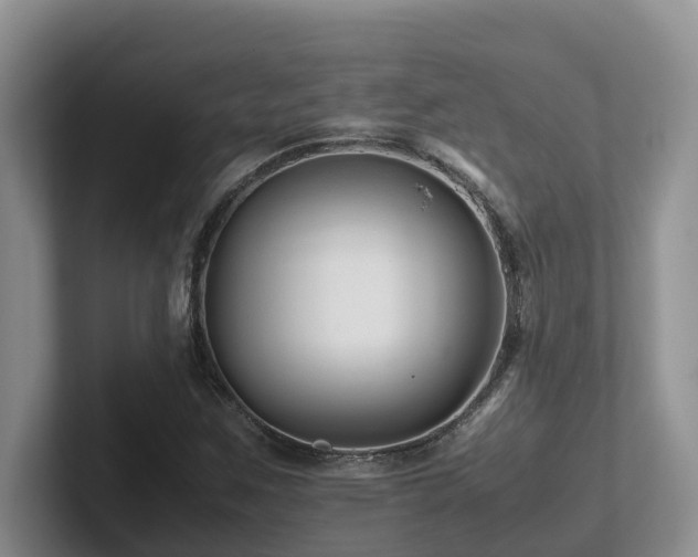 X0000102511259200808081402