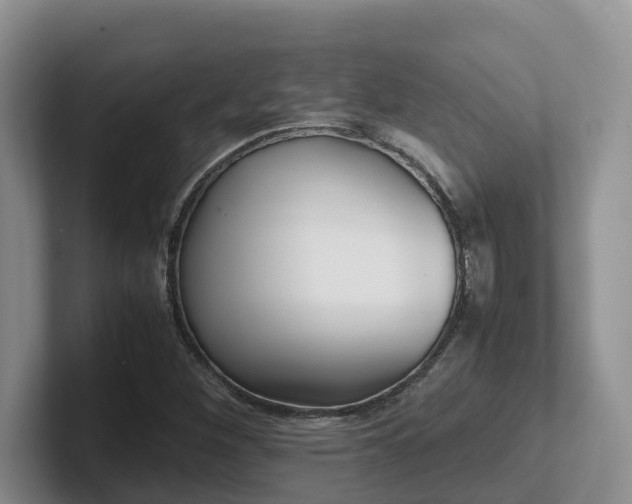 X0000102511260200808081402