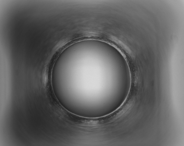 X0000102511261200808081402