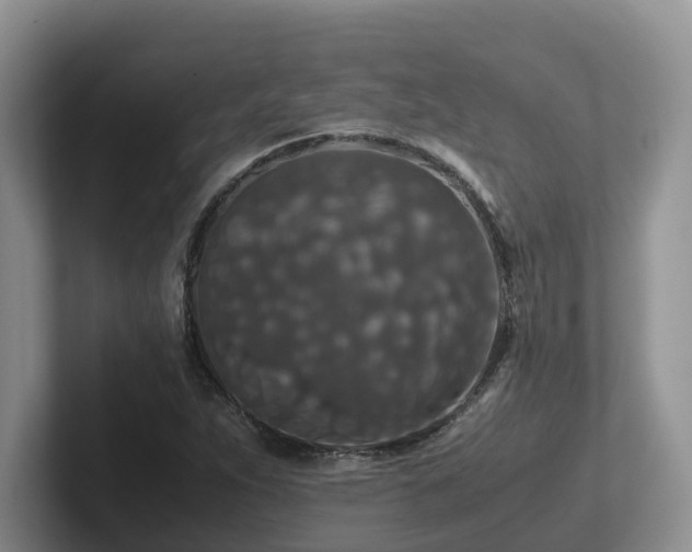 X0000102511263200808081402