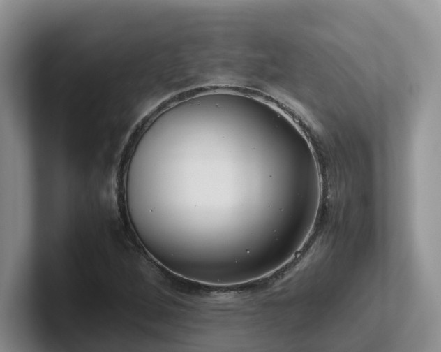 X0000102511264200808081402
