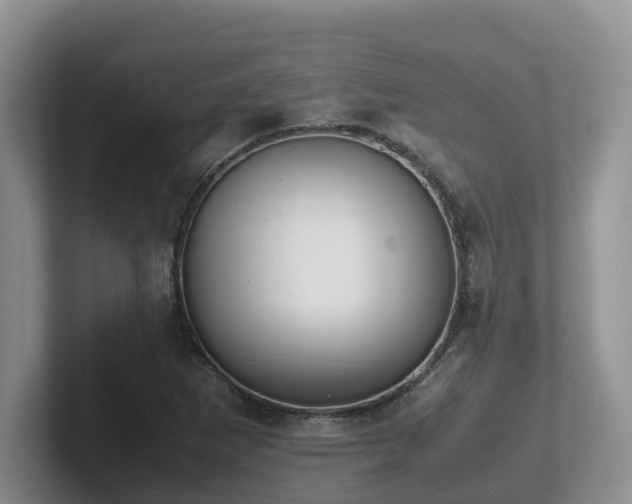 X0000102511265200808081402