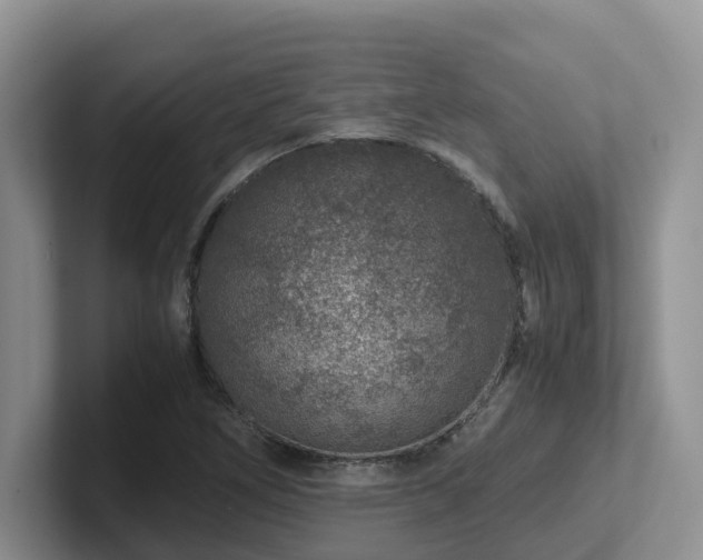 X0000102511266200808081402