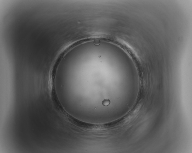 X0000102511267200808081402