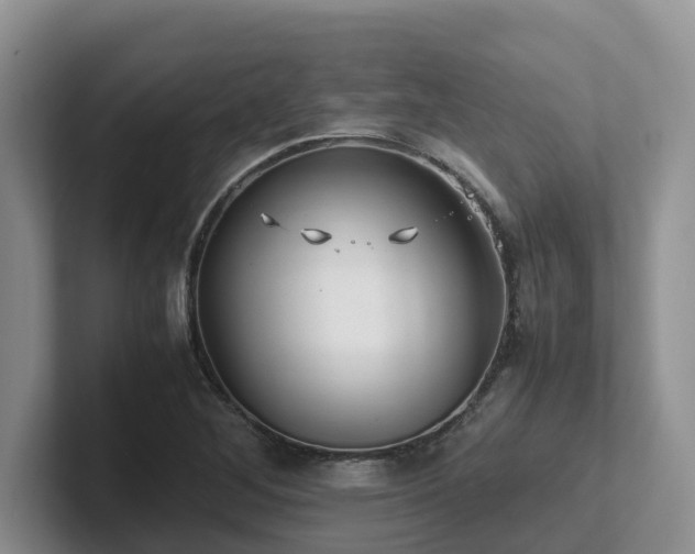 X0000102511268200808081402