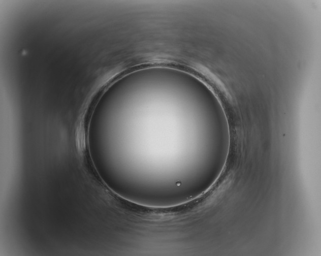 X0000102511269200808081402