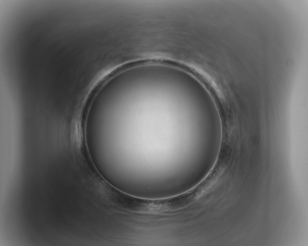 X0000102511271200808081402